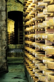 France, Doubs (25), Fort Saint Antoine, cave d'affinage du Comté de montagne