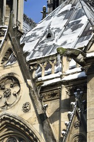 France, Paris, area listed as World Heritage by UNESCO, the banks of the Seine, classified World Heritage by UNESCO, the Notre-Dame Cathedral under the snow on the Ile de la Cité, gargoyles