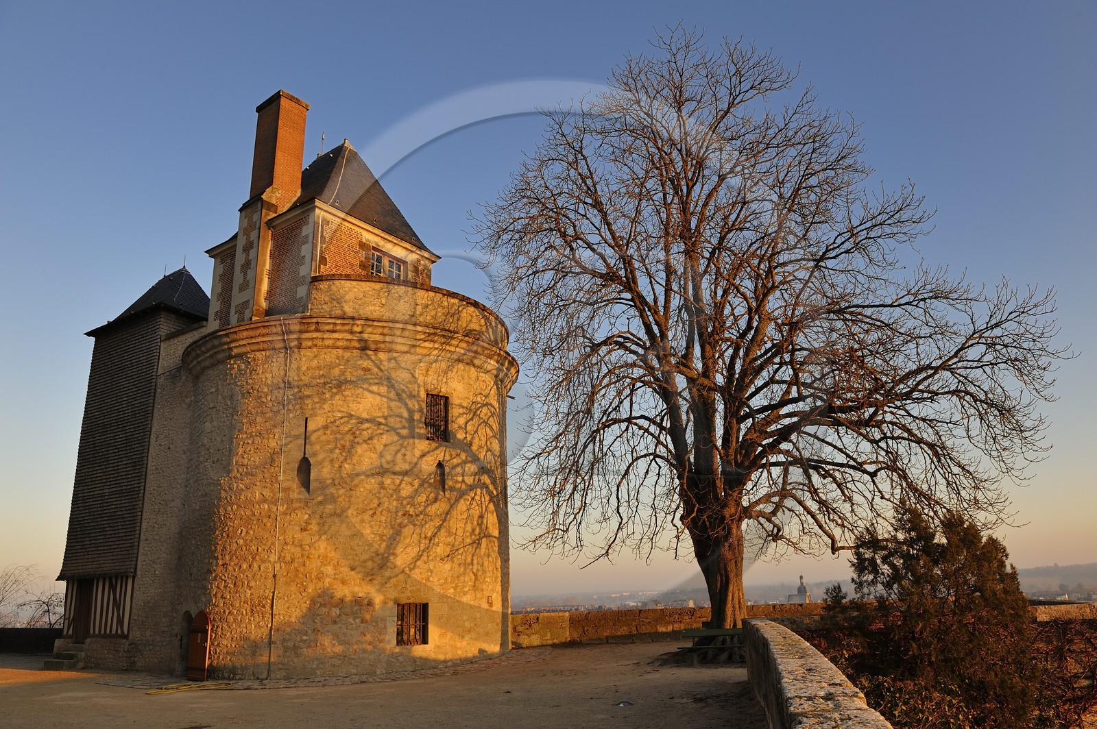 France, Loir-et-Cher (41), vallée de la Loire classée au Patrimoine Mondial de l'UNESCO, château de Blois, la tour du Foix