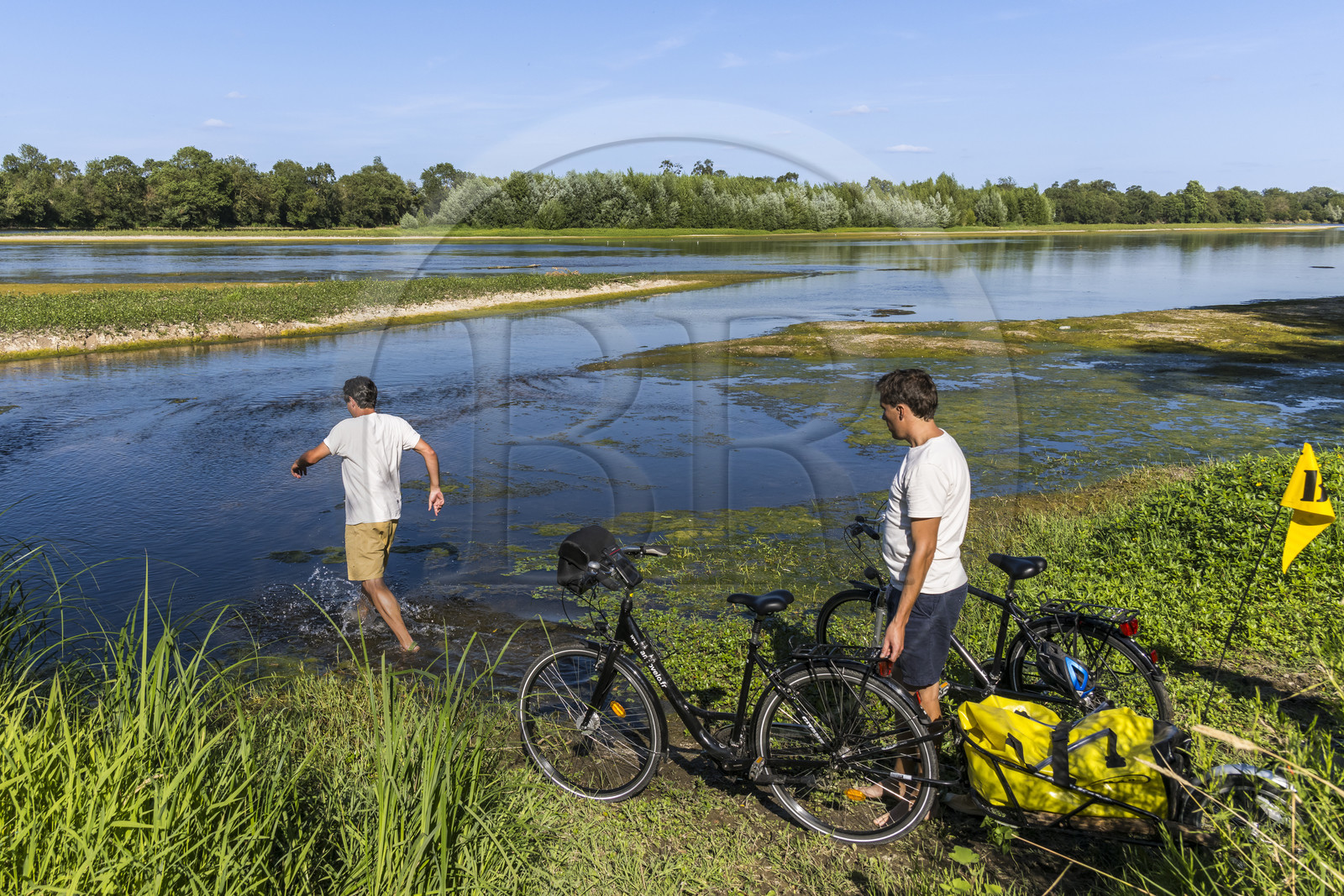 France, Maine-et-Loire (49), vallée de la Loire classée au Patrimoine Mondial par l'UNESCO, Saumur vers Saint-Hilaire, bancs de sable formant des îles sur la Loire, randonnée à bicyclette sur les berges de la Loire