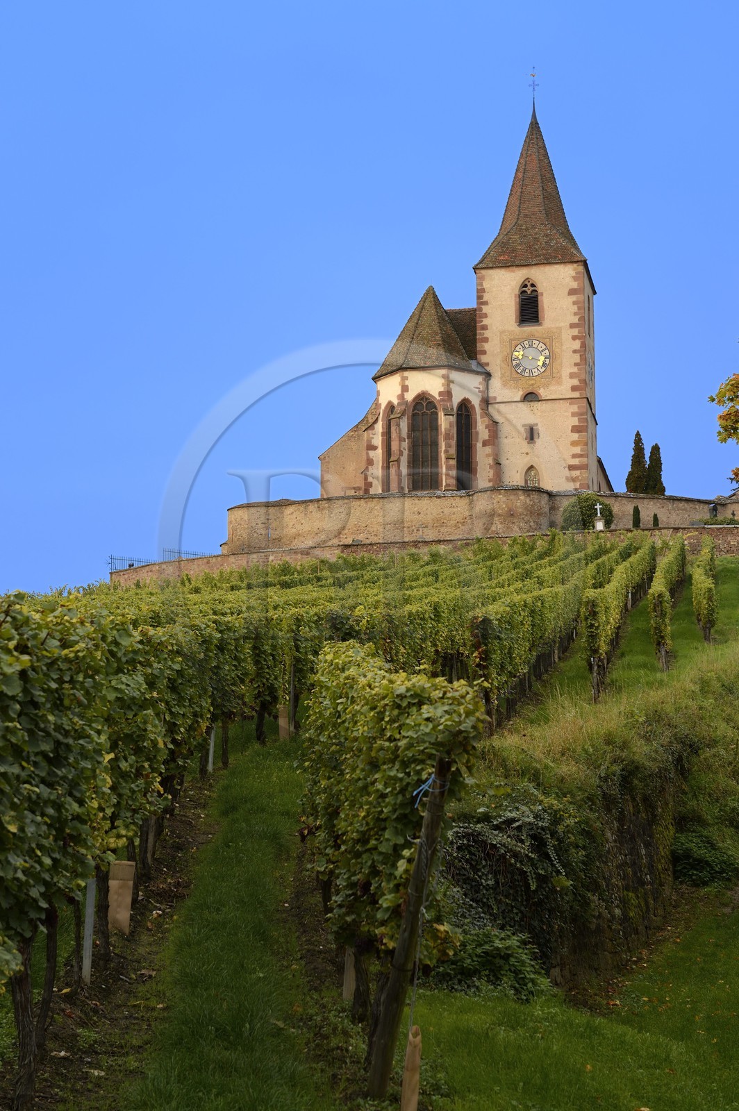 France, Haut Rhin, the Alsace Wine Route, Hunawihr, labelled Les Plus Beaux Villages de France (The Most Beautiful Villages of France), Saint Hune church