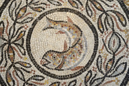 France, Rhone, Lyon, historical site listed as World Heritage by UNESCO, colline de Fourviere, Gallo-Roman Museum of Fourvière, Choulans mosaic