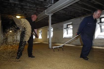 Royaume-Uni, Ecosse, Iles Orcades, Kirkwall, distillerie de whisky Highland Park, plancher de maltage