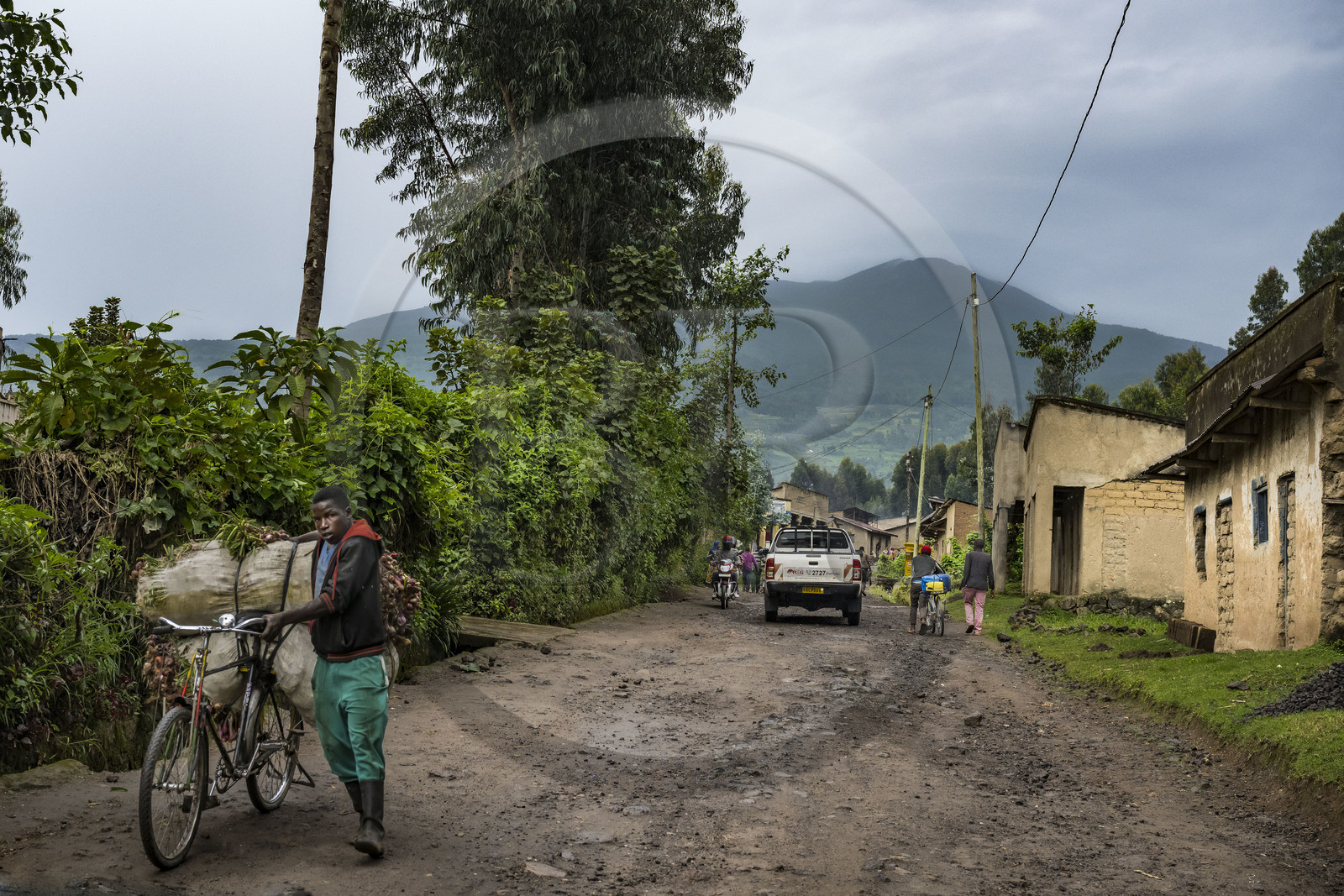 Rwanda, Province du Nord, District de Musanze (Ruhengeri), Busogo, piste menant au mont Karisimbi dans les montagnes des Virunga dont il est le point culminant (en arrière plan) et où vivent les gorilles