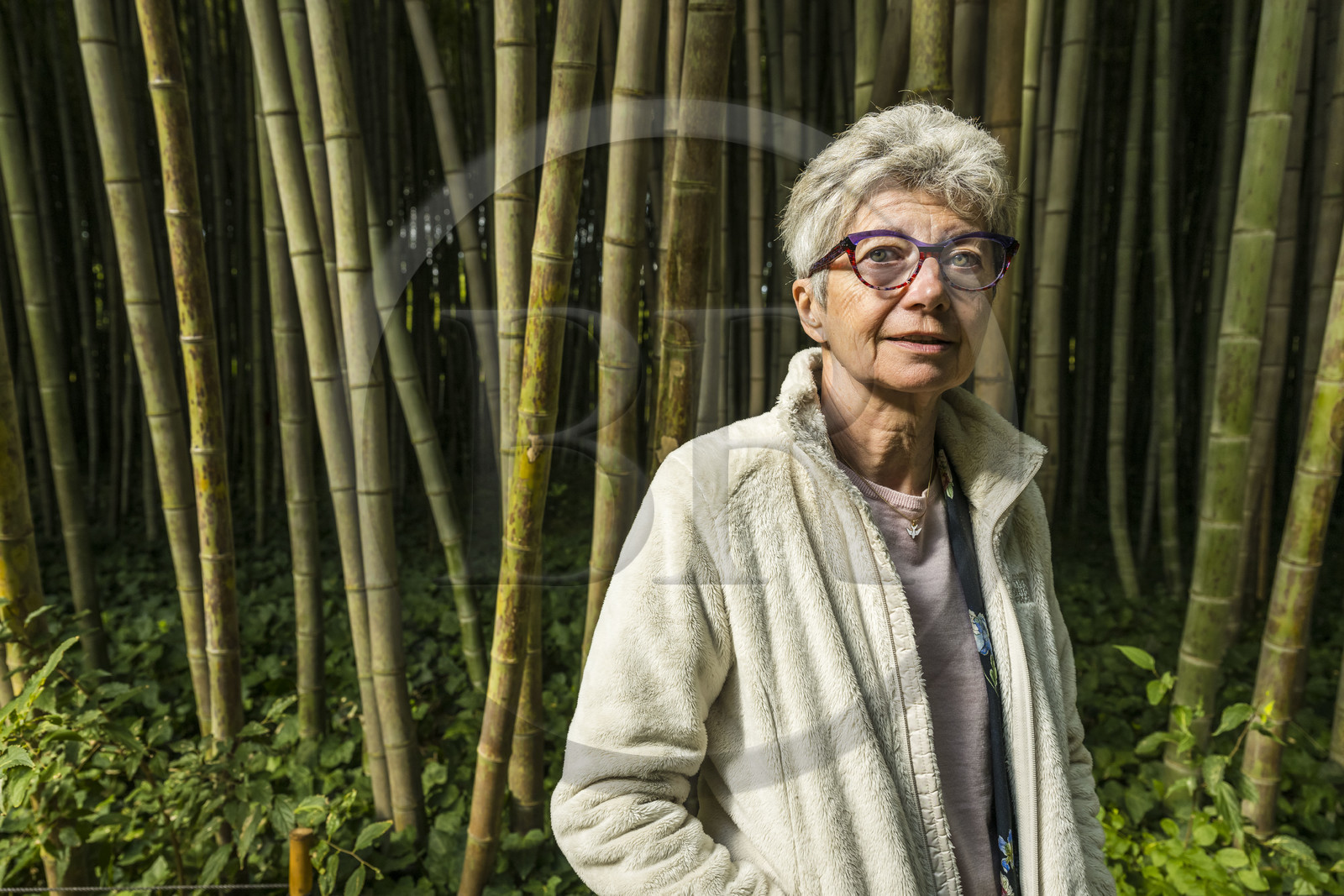 France, Gard (30), Générargues vers Anduze, Bambouseraie en Cévennes, la présidente et directrice Muriel Nègre