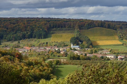 France, Meuse, Lorraine Regional Park, Cotes de Meuse, the village of Vieville-sous-les-Cotes at the foot of a vineyard