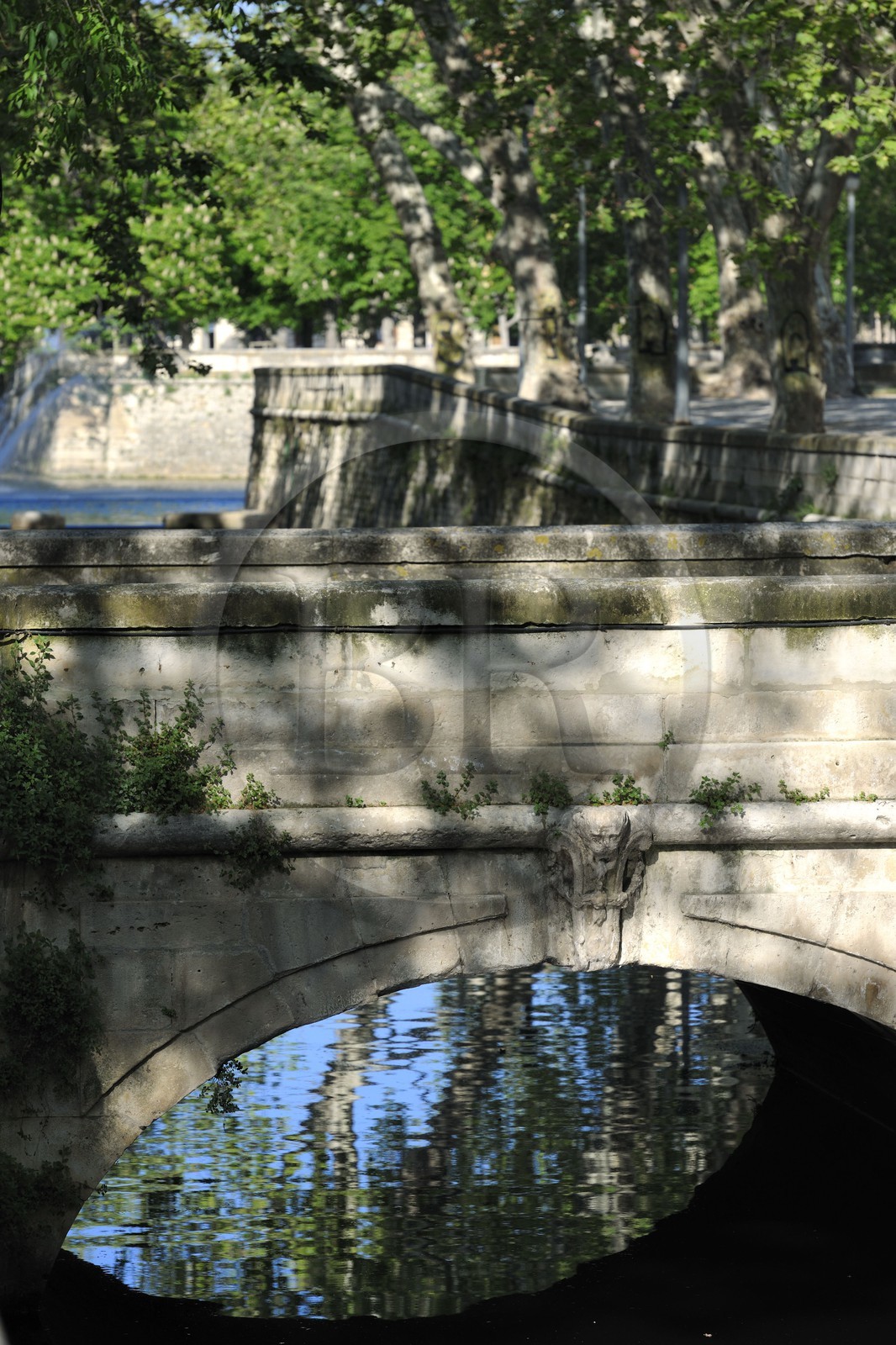 France, Gard, Nimes, les quais de la fontaine (The banks of the fountain)