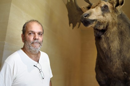 France, Dordogne, Perigord Noir, Vezere Valley, Les Eyzies de Tayac Sireuil, listed as World Heritage by UNESCO, Musee de la Prehistoire (Museum of Prehistory), Director Jean-Jacques Cleyet-Merle next to a megaceros