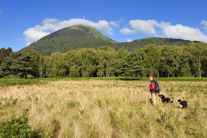 France, Puy de Dome, Parc Naturel Régional des Volcans d'Auvergne (regional nature park of Auvergne volcanoes), Chaine des Puys listed as World heritage by UNESCO, the shepherdess Ostiane Vuillermoz with her dogs at the foot of the Puy de Dôme volcano