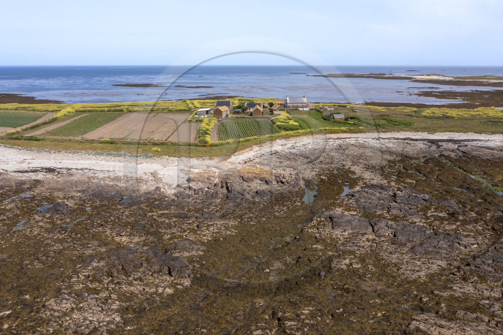 France, Finistère (29), Mer d'Iroise, archipel de Molène, Ile de Quéménès, ferme de Quéménès bio et autonome en énergie (vue aérienne)