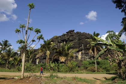 Tanzanie, région de Morogoro, les Monts Uluguru, la piste de Matombo