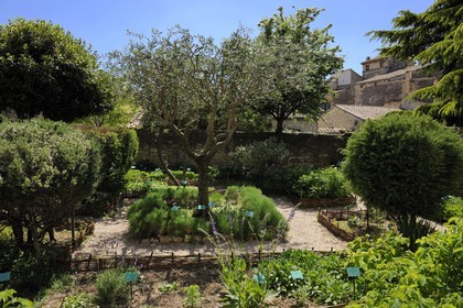 France, Gard, Uzes, the medieval garden
