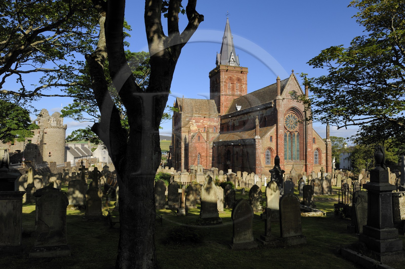 Royaume-Uni, Ecosse, Iles Orcades, Mainland, ville de Kirkwall, la cathédrale Saint-Magnus en grès rouge