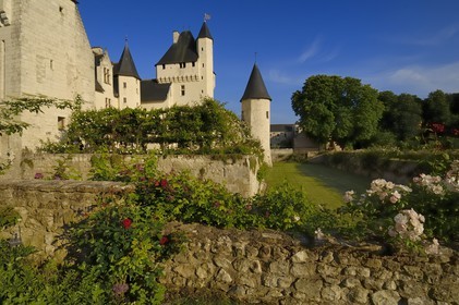 France, Indre et Loire, Chateau du Rivau