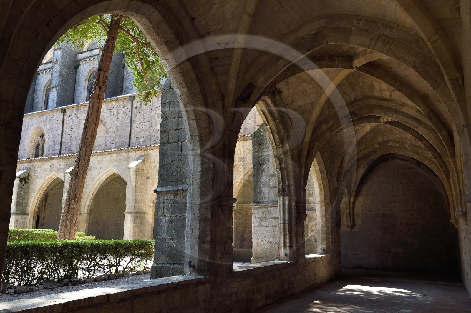 France, Var (83), Provence Verte, Saint-Maximin-la-Sainte-Baume, le cloitre de la basilique Sainte Madeleine