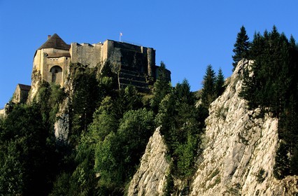 France, Doubs, Cluse Mijoux, Joux castle