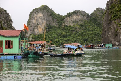 Vietnam, Quang Ninh Province, Halong Bay, listed as World Heritage by UNESCO, fishing floating village of Vong Vieng