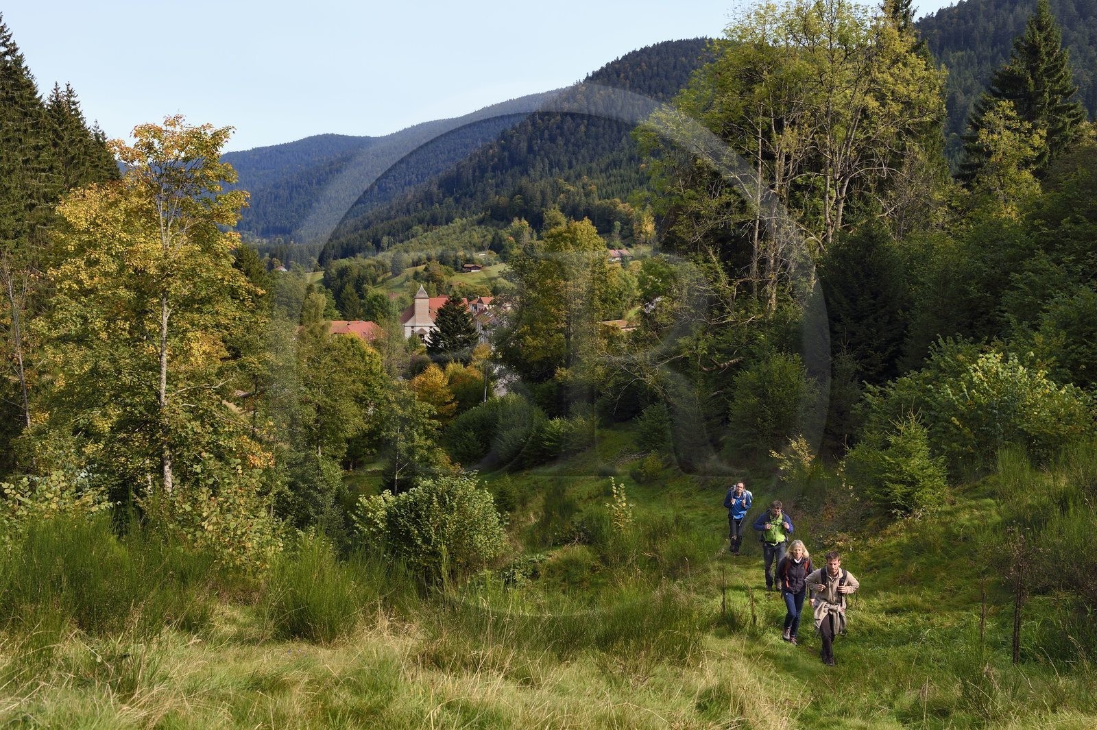 France, Vosges, Le Valtin, hike in the Valtin valley in the upper Meurthe valley on the Valtin panorama trail