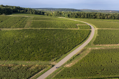 France, Côte-d'Or (21), les climats de Bourgogne classés Patrimoine Mondial de l'UNESCO, Route des Grands Crus, vignoble de la Côte de Beaune sur les hauteurs de  Pernand-Vergelesses (vue aérienne)