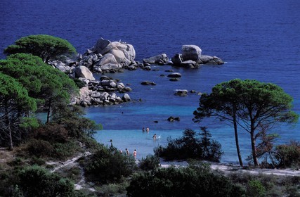 France, Corse du Sud, Palombaggia beach in the south of Porto Vecchio