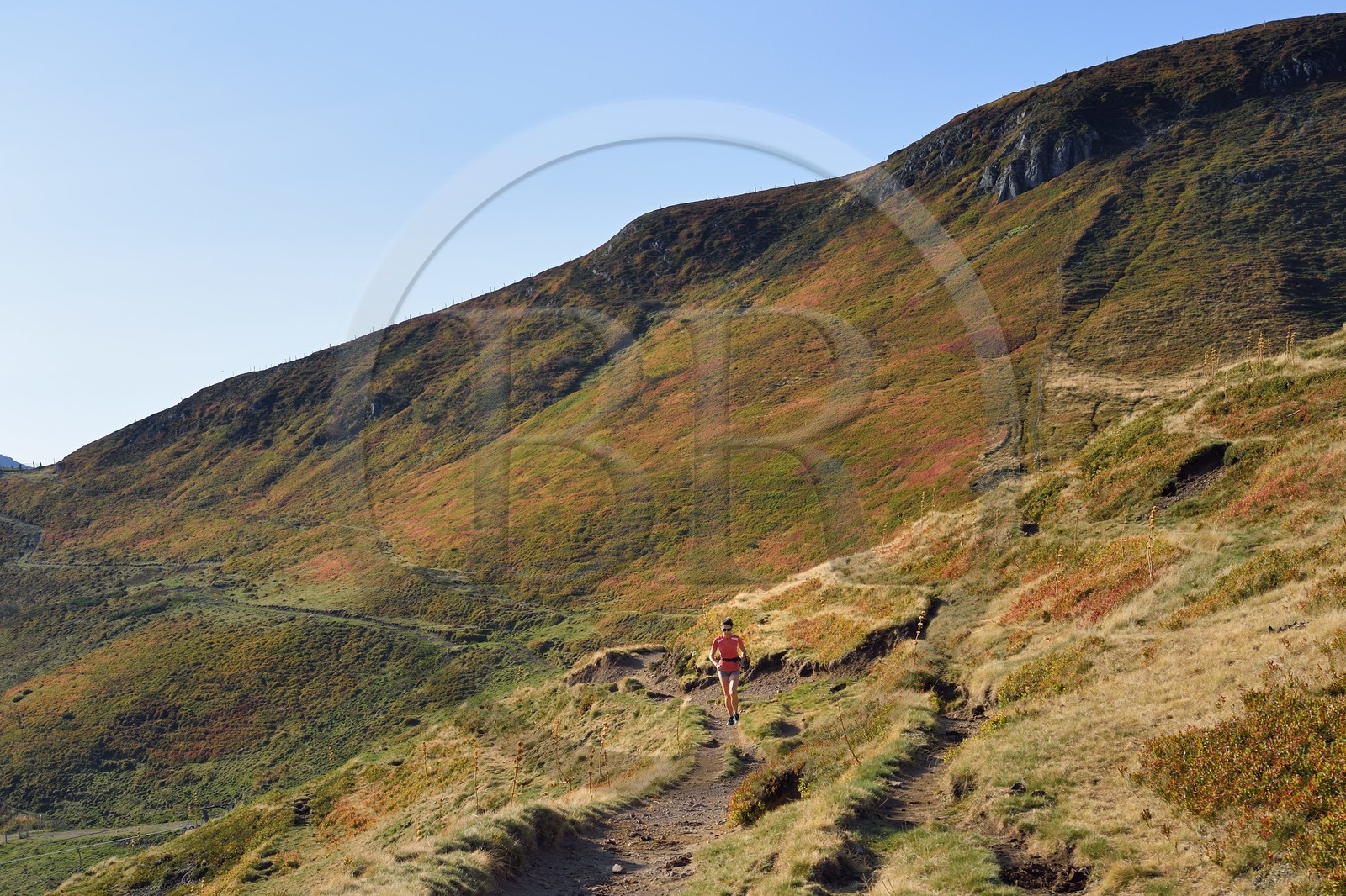 France, Cantal (15), Parc Naturel Régional des Volcans d'Auvergne, Le Lioran, traileuse sur le sentier montant vers le col de Rombière dominant la vallée de l'Alagnon sur le GR4 - GR400 France, Cantal (15), Parc Naturel Régional des Volcans d'Auvergne, Le Lioran, traileuse sur le sentier montant vers le col de Rombière dominant la vallée de l'Alagnon sur le GR4 - GR400