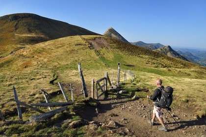 France, Cantal, Parc Naturel Régional des Volcans d'Auvergne (regional nature park of Auvergne volcanoes), Le Lioran, col de Rombiere (mountain pass) overlooking the Jordanne valley right, hiker on the Way of St. James to Santiago de Compostela by Via Arverna, in the background the Puy Griou emerging