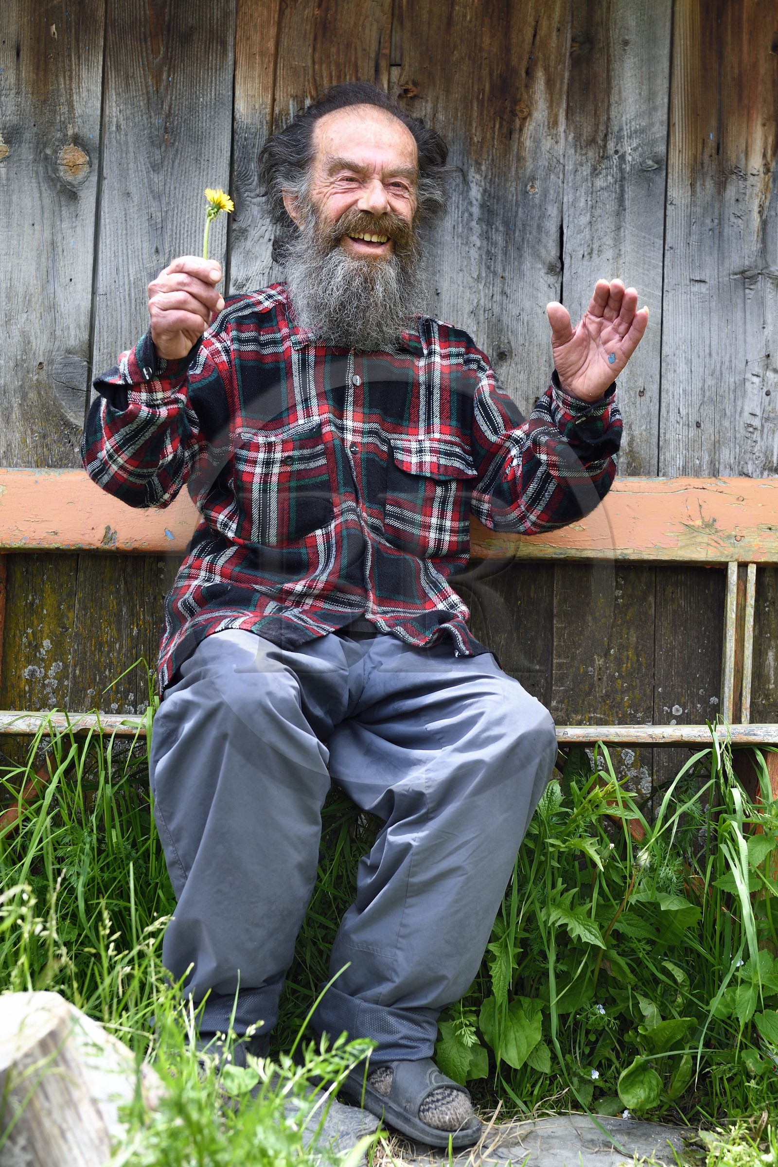 Géorgie, Haute Svanétie (Zemo Svaneti), village de Ushguli (Ouchgouli), classé Patrimoine Mondial de l'UNESCO, le poète et artiste peintre Sridon Nijardzé