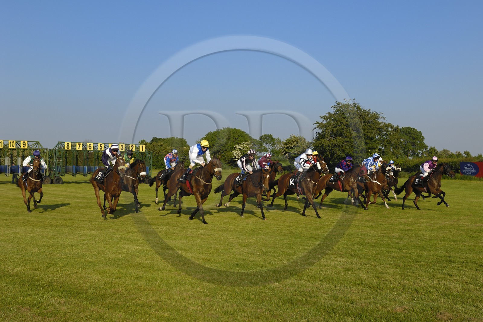 Irlande, Co. Meath, hippodrome de Fairyhouse, départ de la course Irlande, Co. Meath, hippodrome de Fairyhouse, départ de la course