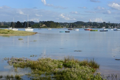 France, Côtes-d'Armor (22), Côte de Granit Rose, Trégastel, baie de Saint Anne