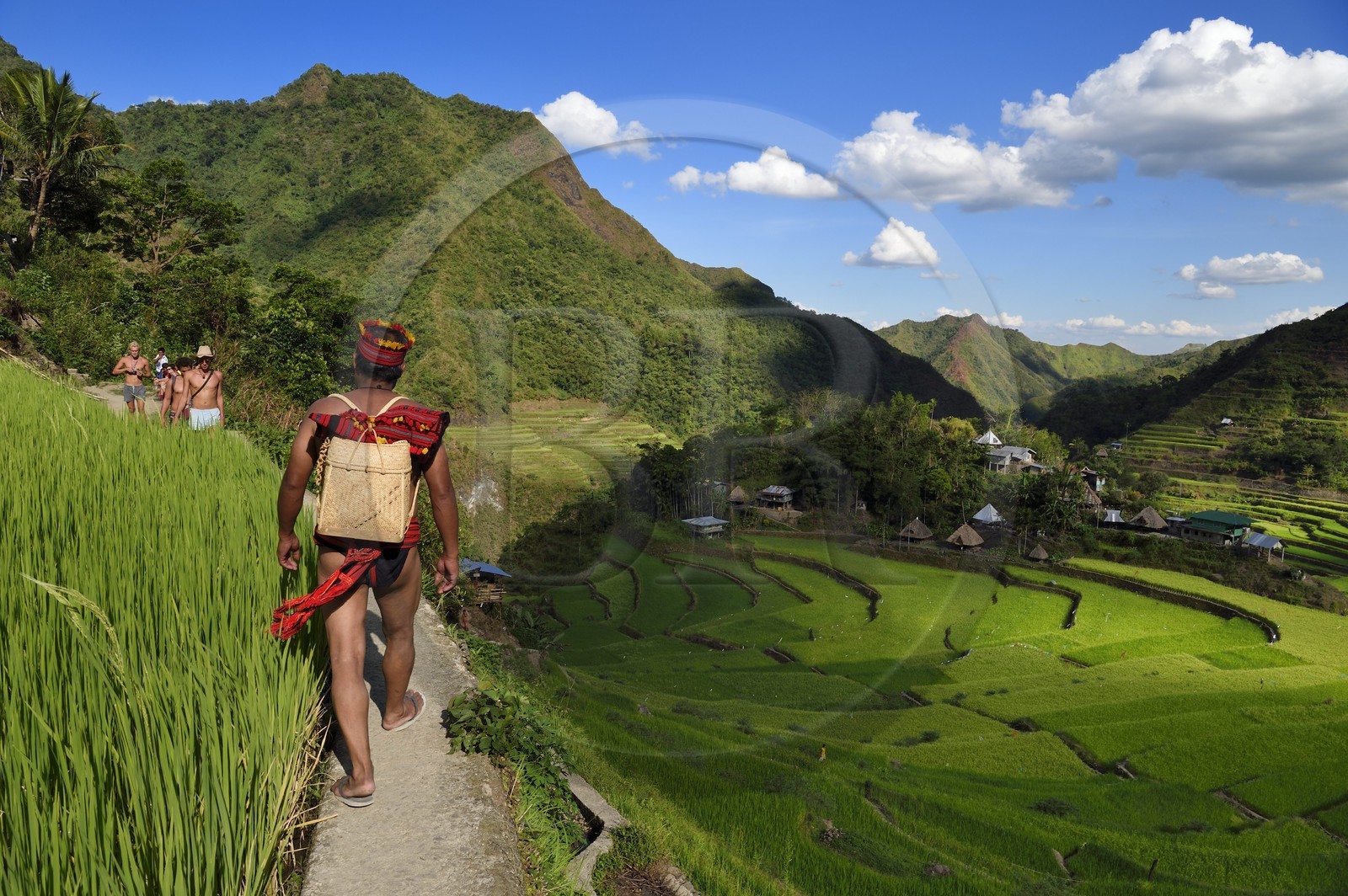 Philippines, Ifugao province, Banaue rice terraces around the village of Batad, listed as World Heritage by UNESCO, the guide Adolpho coated in the traditional Ifugao costume
