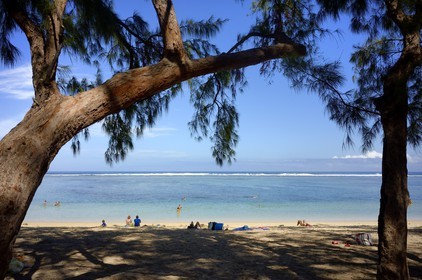 France, Ile de la Reunion, côte ouest, Saint-Gilles-Les-Bains (commune de Saint-Paul), plage de l'Ermitage bordée par les philéas