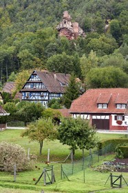 France, Bas-Rhin (67), Parc naturel régional des Vosges du Nord, Obersteinbach, le village dominé par les ruines du chateau du Petit-Arnsberg perché sur un rocher de grès