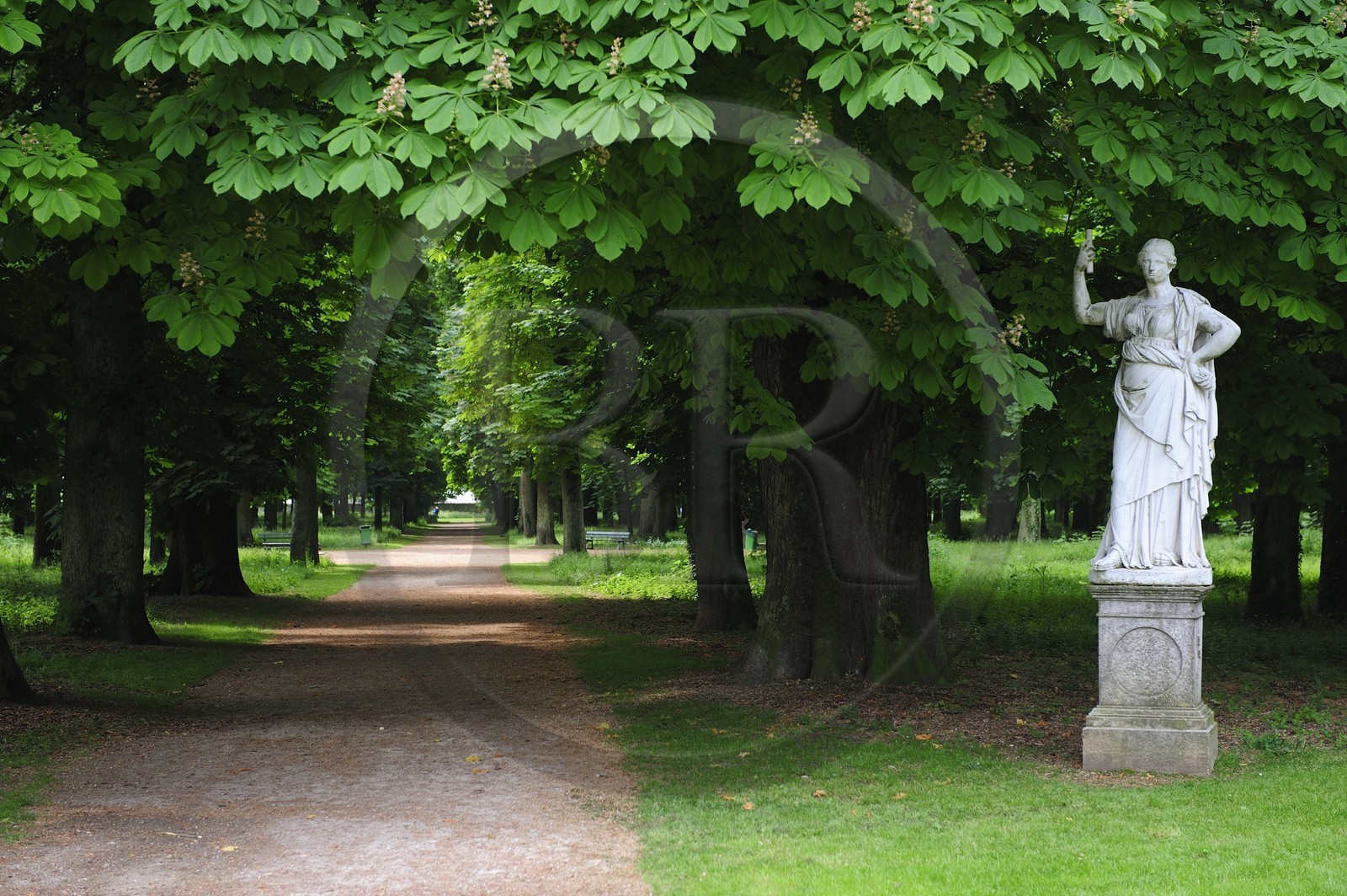 France, Côte d'Or (21), parc de la Colombière