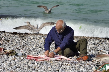 France, Seine-Maritime (76), Côte d'Albâtre, Pays de Caux, Yport, port d'echouage sur la plage, le pecheur Alain Moulin vidant un requin-hâ (Galeorhinus galeus)