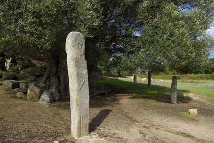 France, Corse du Sud, prehistoric site of Filitosa, menhir statue of armed characters