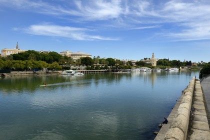 Spain, Andalusia, Seville, Guadalquivir river Banks, the Golden Tower (Torre del Oro), former military watch tower built at the beginnings of the 13th century converted to a Maritime Museum