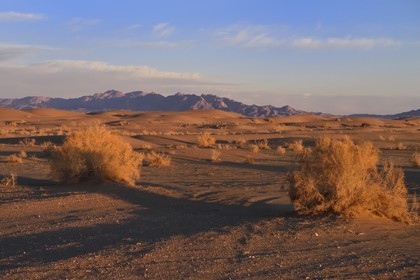 Iran, Province d'Ispahan, désert du Dasht-e Kavir, Mesr dans la région de Khur et Biabanak, le désert au soleil couchant
