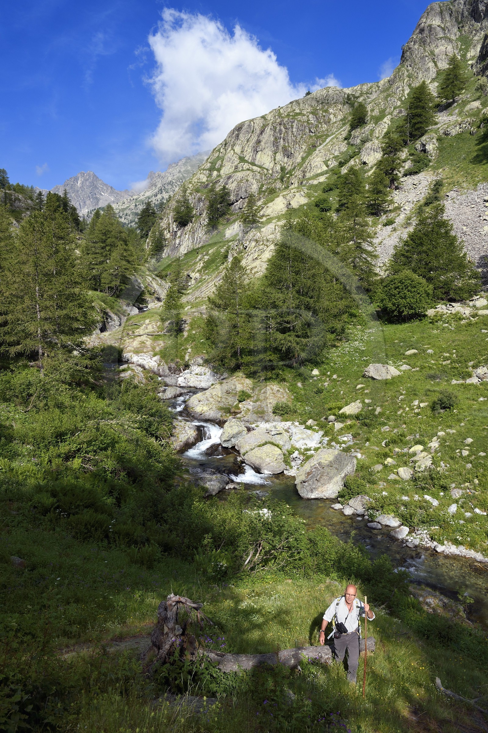 France, Alpes-Maritimes (06), parc national du Mercantour, vallée de la rivière Valmasque et sommets de la haute Valmasque, Alain Lanteri-Minet, guide et ancien garde-moniteur du parc