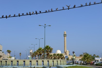 Israel, Tel Aviv, quartier de Jaffa, la mosquée Hassan Bek sur le front de mer