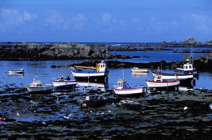 France, Finistère (29), Aber Wrac'h, près du phare de l'île Vierge, grève de Lilia