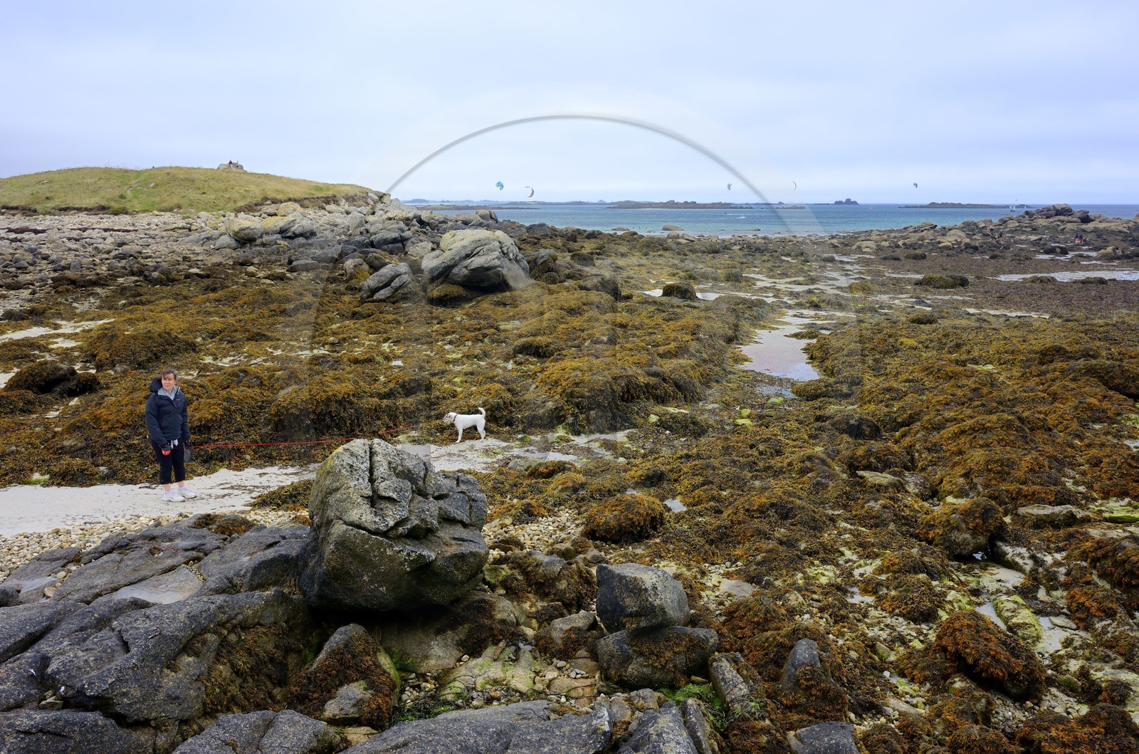 France, Finistère (29), Landeda, les dunes de Sainte-Marguerite