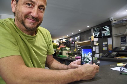 France, Alpes-Maritimes (06), Nice, le fleuriste Joseph Pinna dans sa boutique Arc en ciel fleurs rue Barberis, il nous montre un char qu'il a décoré pour le carnaval sur son écran de téléphone