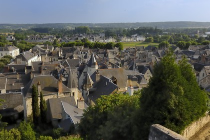 France, Indre et Loire, Loire Valley listed as World Heritage by UNESCO, Chinon