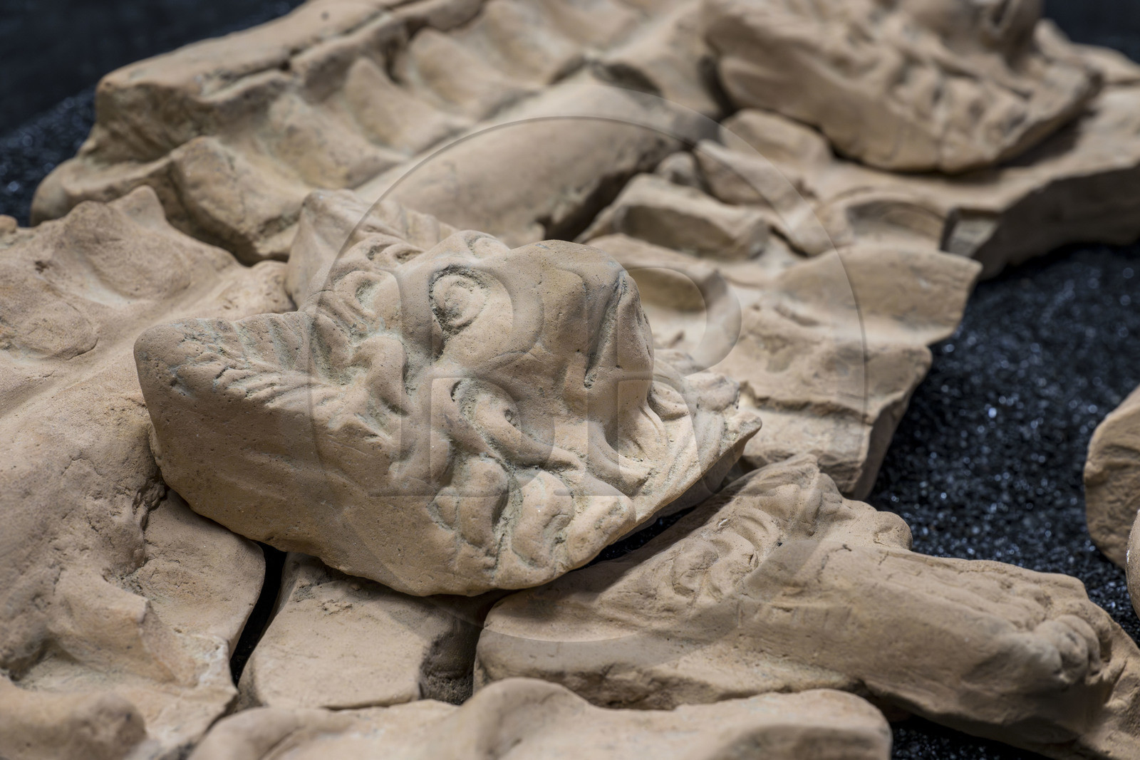 France, Bouches-du-Rhône (13), Arles, musée départemental Arles antique, salle d’étude du service archéologie, recherches des fouilles du site de l'ancienne verrerie de Trinquetaille sur la rive droite du Rhone, maison de la harpiste (entre 70 et 50 av. J.-C.), figure de chien protecteur en tuile et gargouilles de la toiture de l'atrium