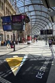 France, Bas Rhin, Strasbourg, canopy of the train station by the architect Jean-Marie Duthilleul of the Arep architecture firm