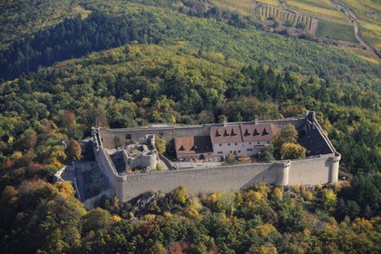 France, Haut-Rhin (68), le château de Hohlandsbourg dans le massif des Vosges sur les hauteurs d'Eguisheim (photo aérienne)