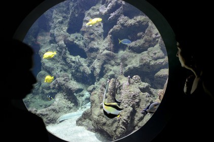 France, Finistere, Brest, Océanopolis