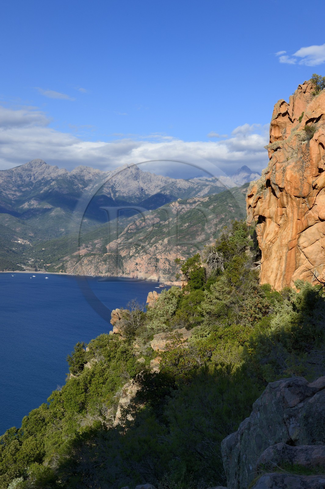 France, Corse-du-Sud (2A), Golfe de Porto, classé Patrimoine Mondial de l'UNESCO, calanches de Piana aux rochers de granit rose le long du chemin dit du Chateau-Fort et la plage de Bussaglia en arrière plan