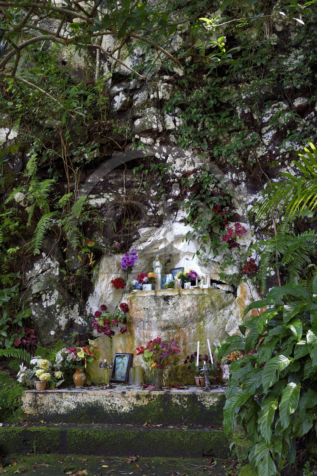 France, Ile de la Reunion, Saint Joseph, rivière Langevin sur les flanc du Volcan Piton de la Fournaise, petite chapelle à la Vierge en bordure de route