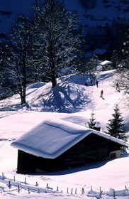 Switzerland, region of Bern (Bernese Oberland), Grindelwald